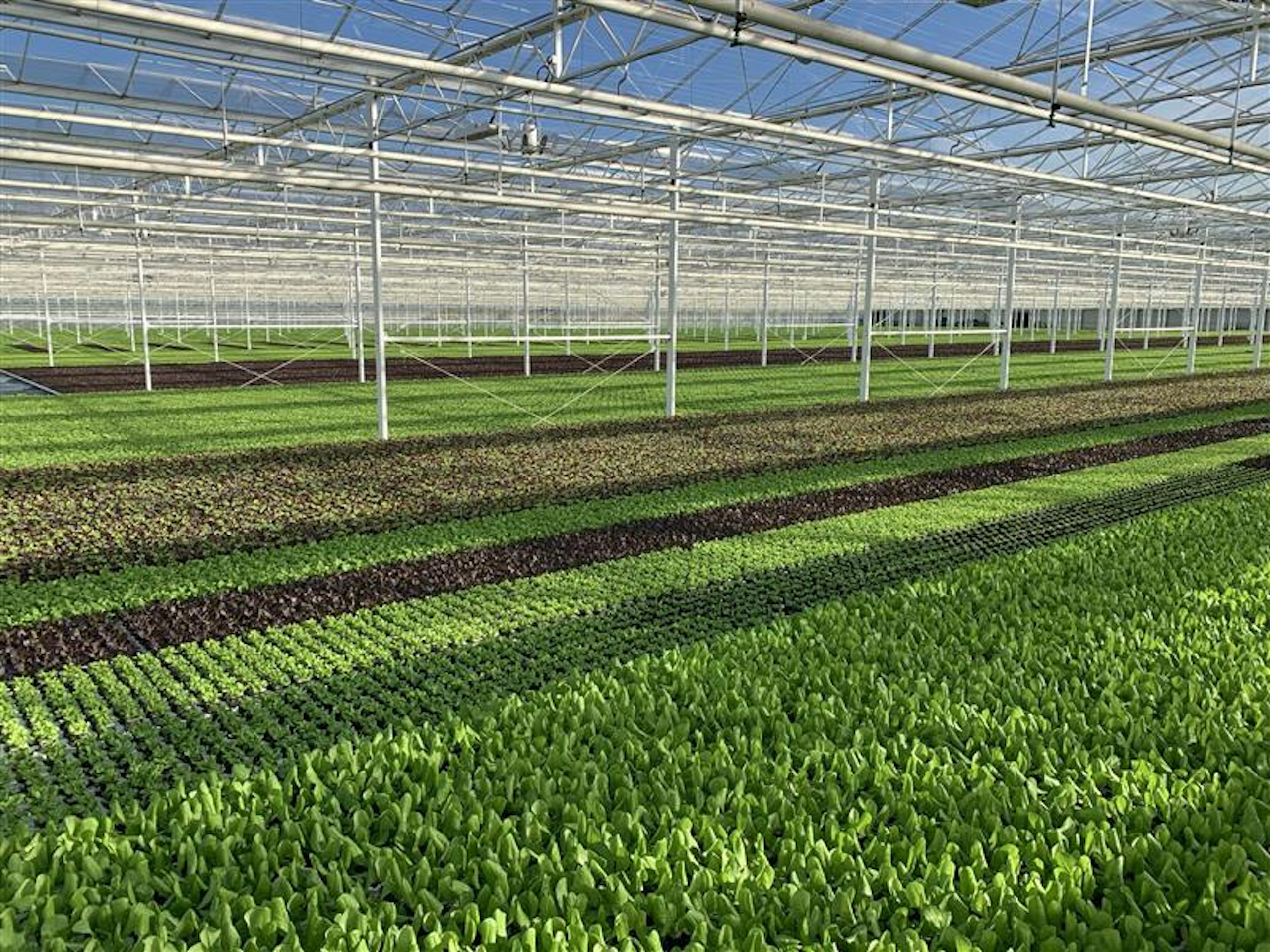 Behind the Fields automatisatie en robotisering 11