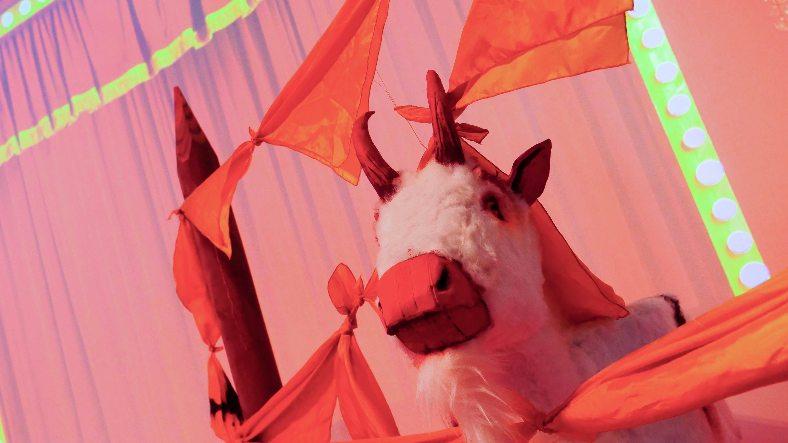 Billie ruimt het circus op
