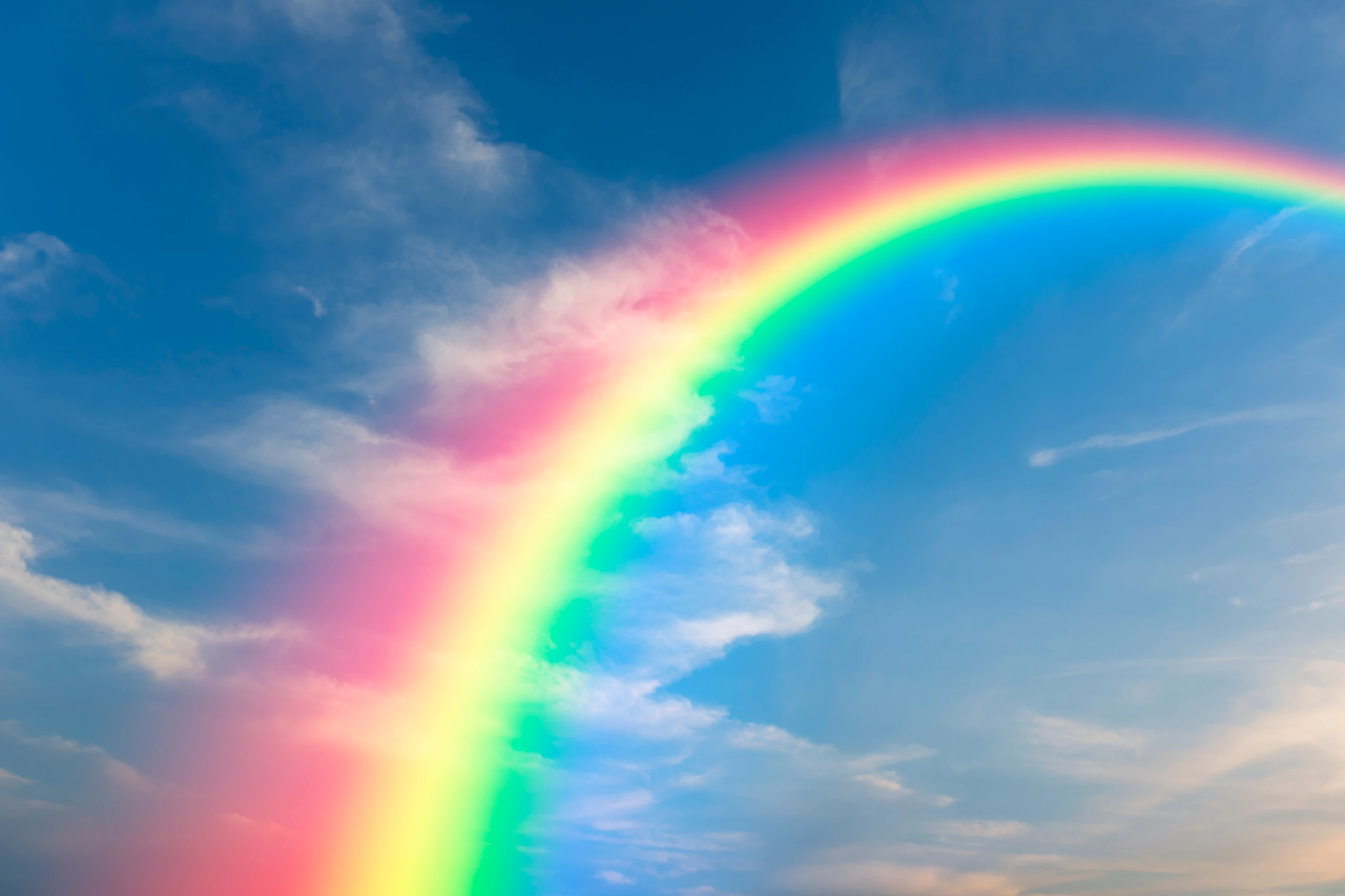 Shutterstock 793205941