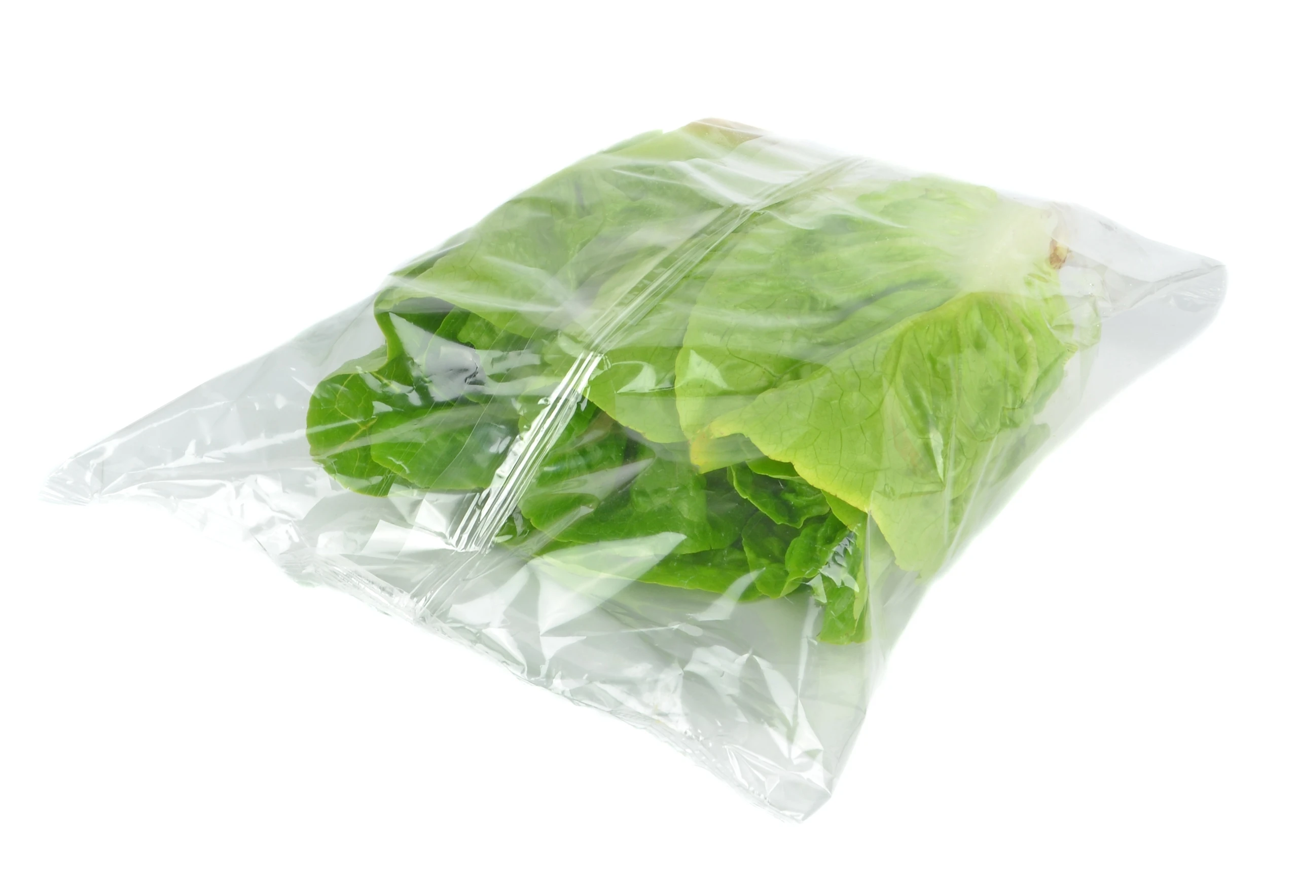 Spinazie 2