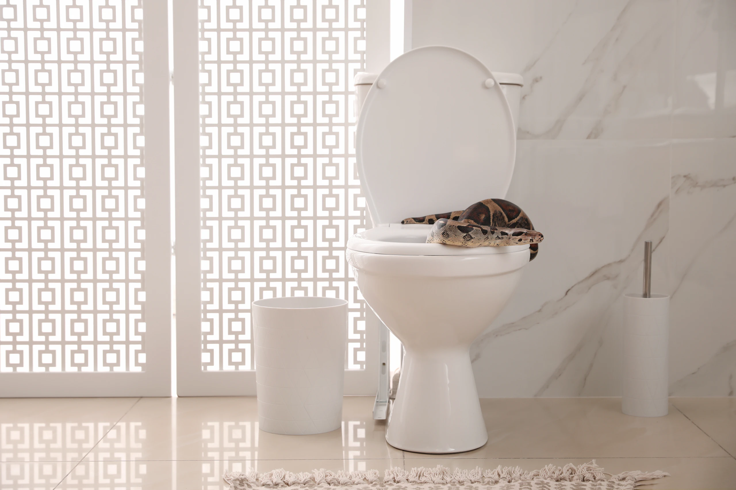 Slangentoilet2