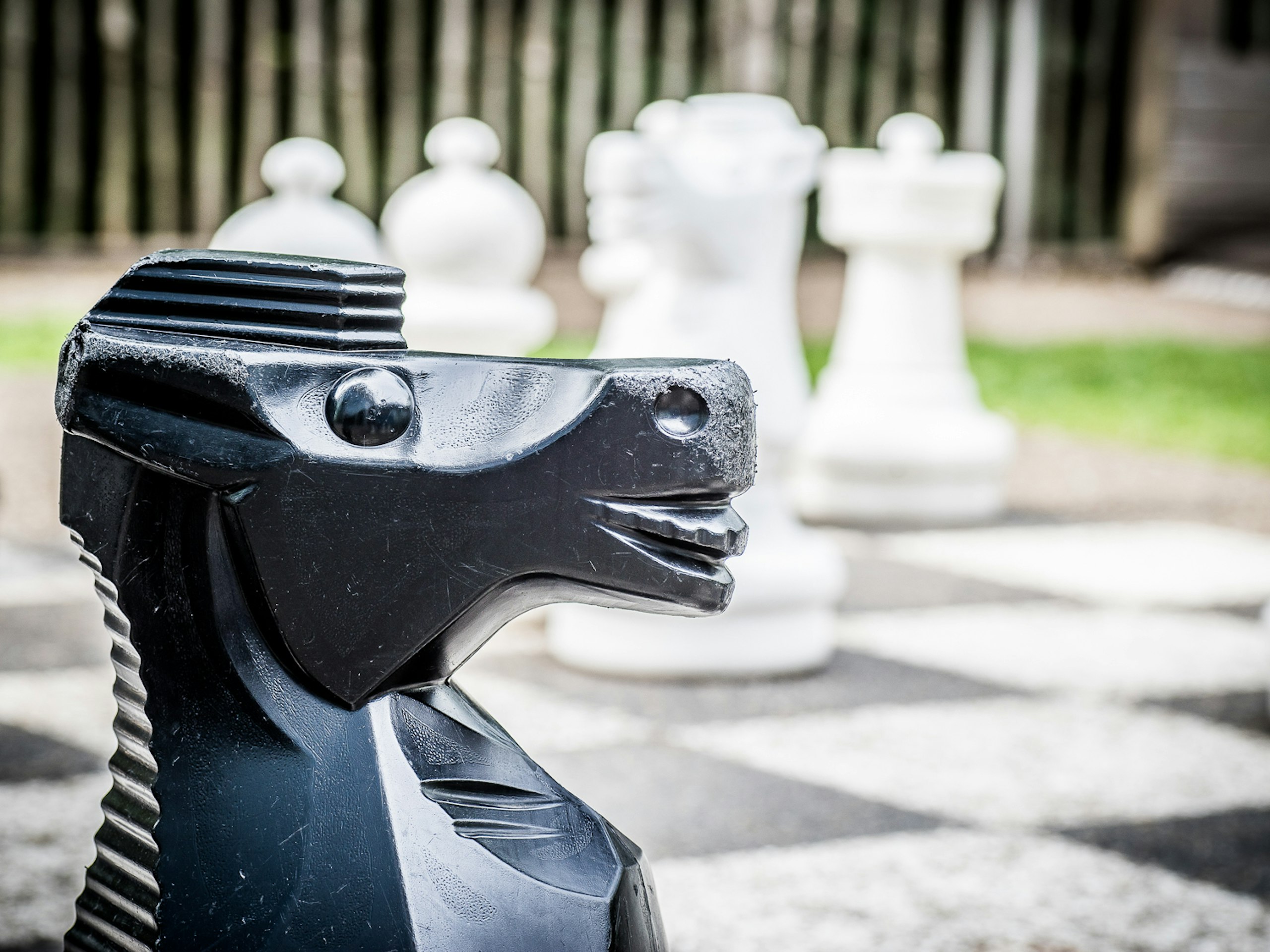 Doe-tuin schaakspel