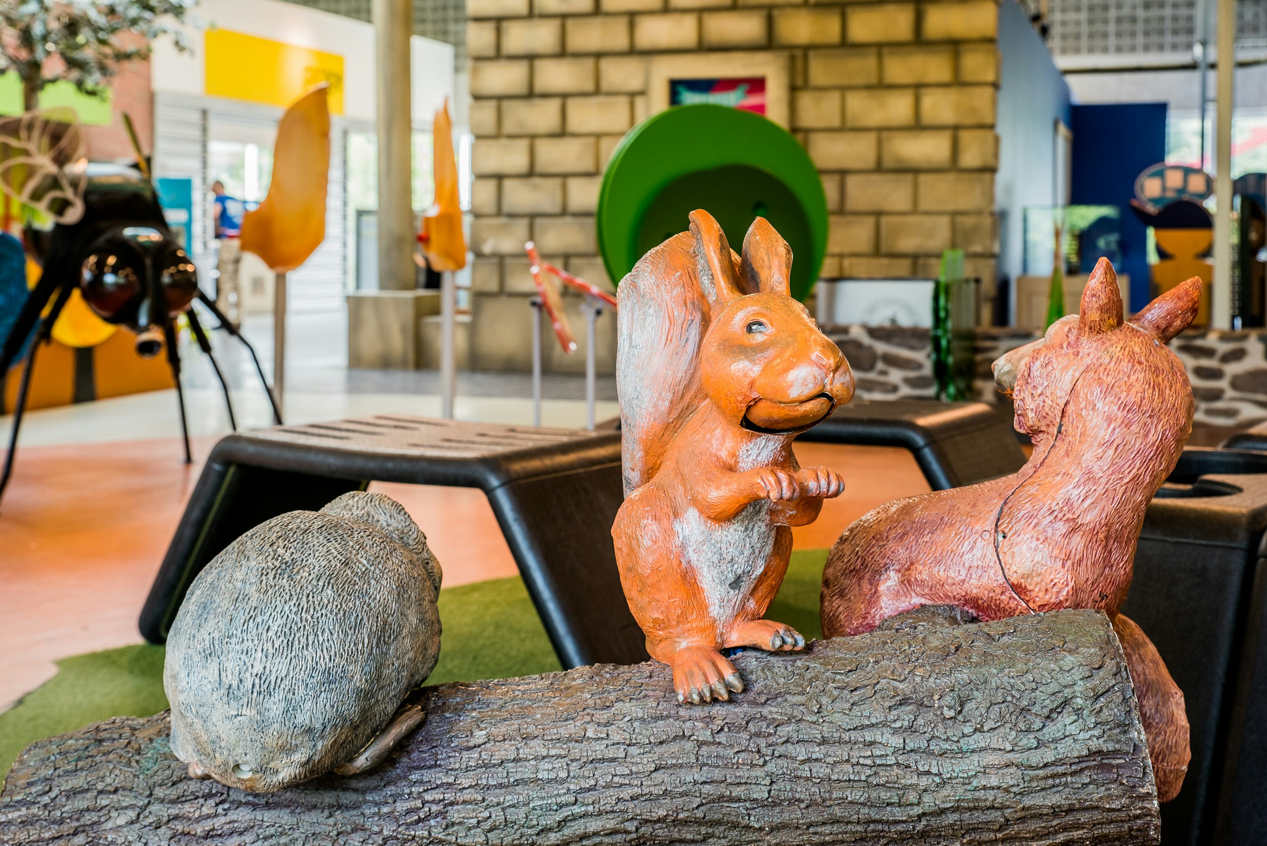 Kinder doe centrum eekhoorn