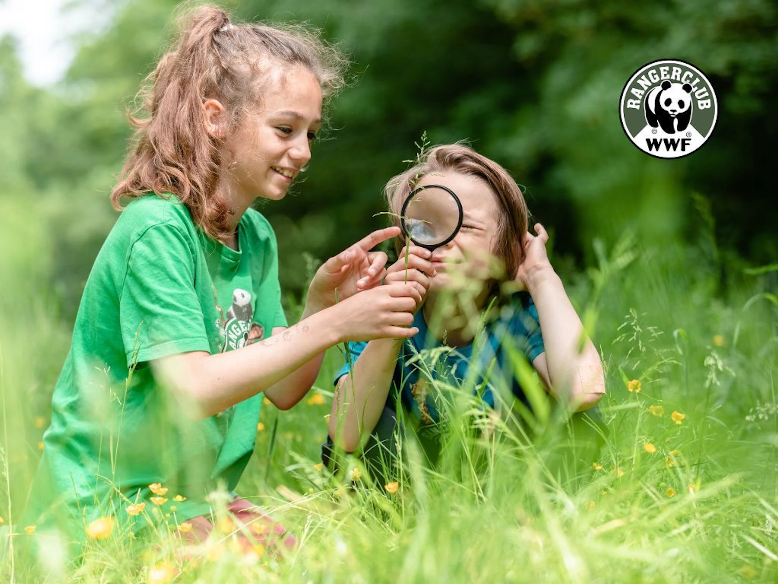 WWF rangerclub