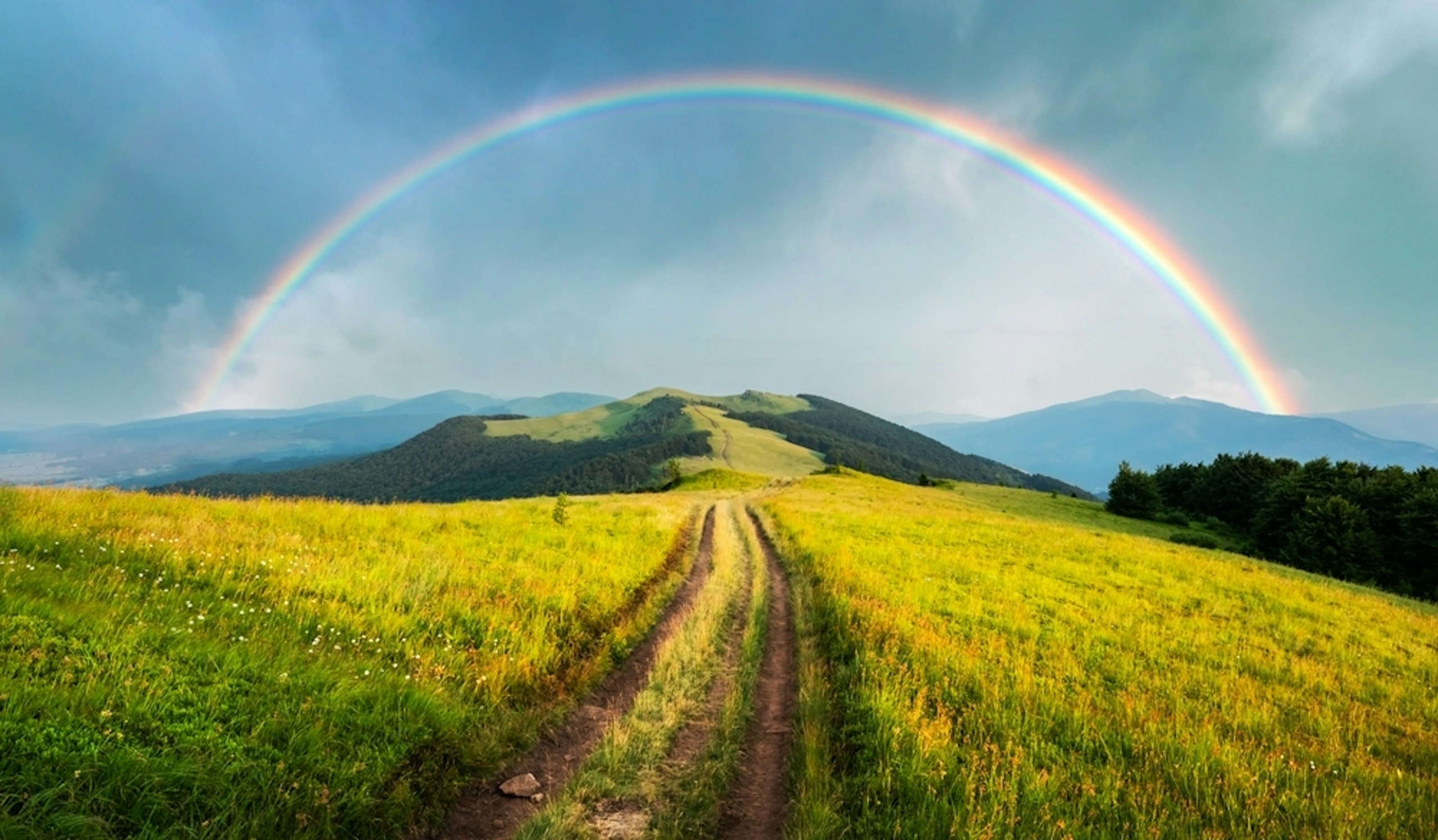 Regenboog
